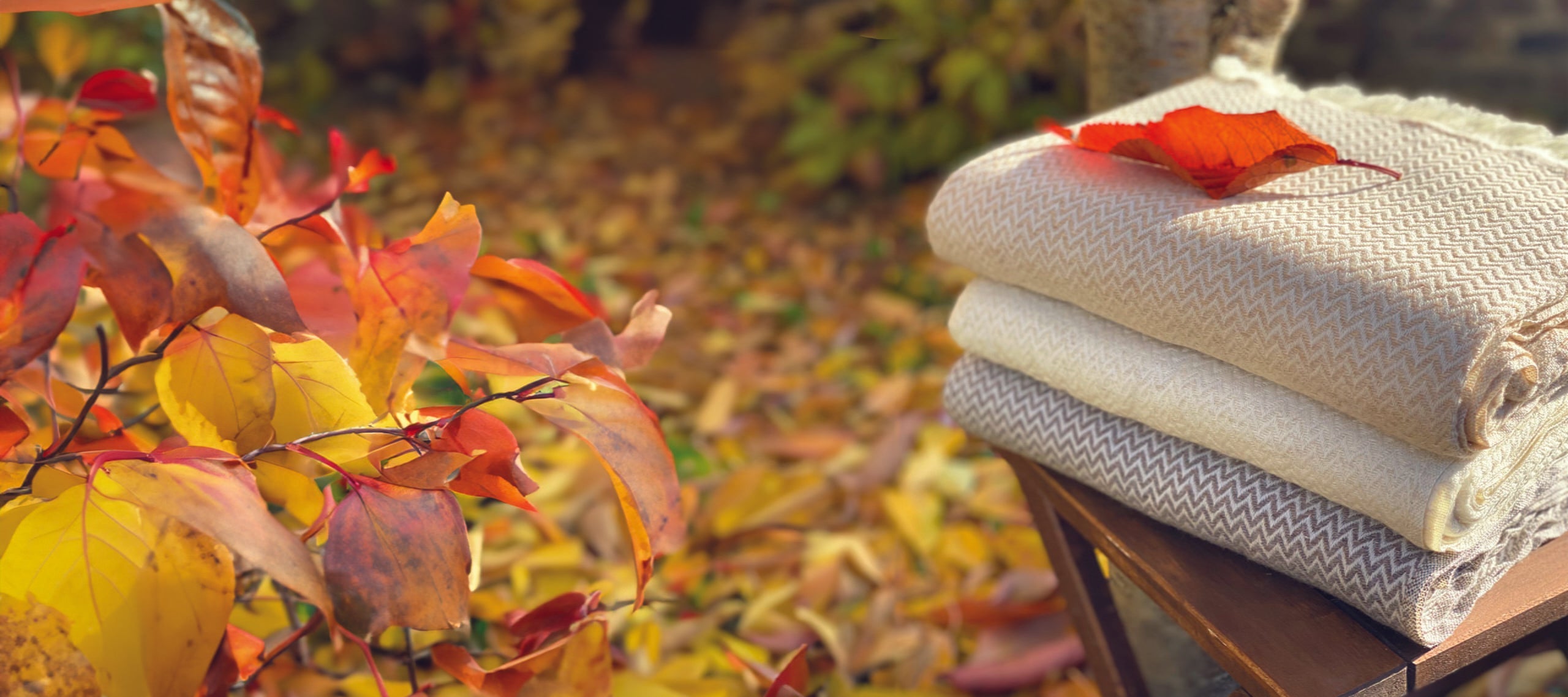 Autumn Delights-Les Jardins de la Comtesse en