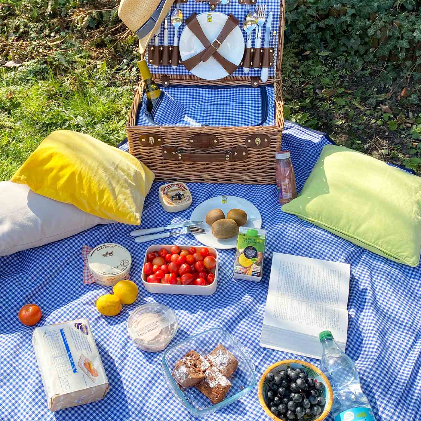Waterproof picnic blanket blue and white gingham