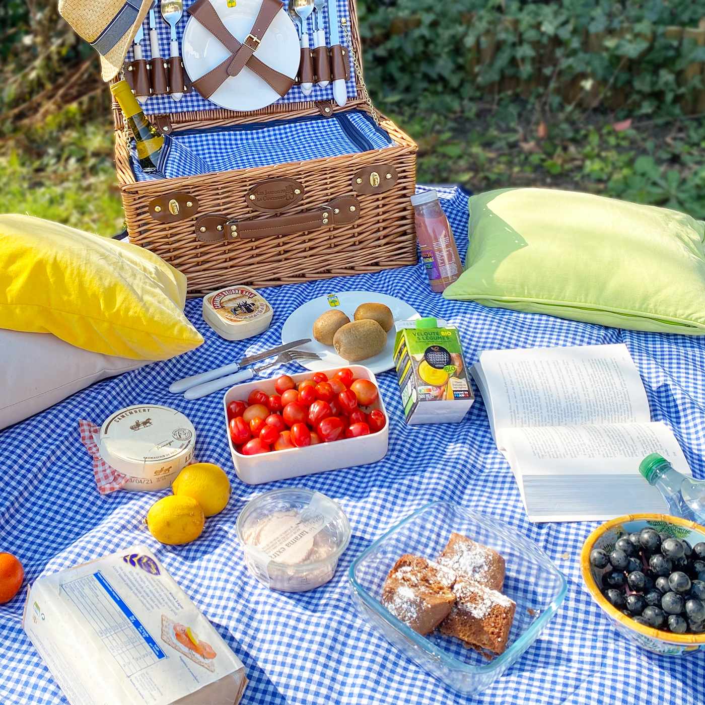 Waterproof picnic blanket blue and white gingham XL
