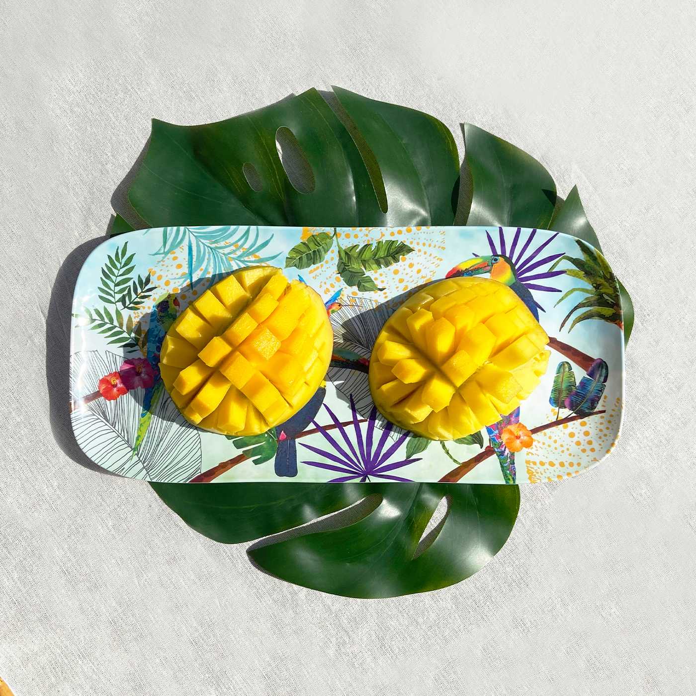 Large rectangular platter in melamine with toucans - 37,5 x 17 cm