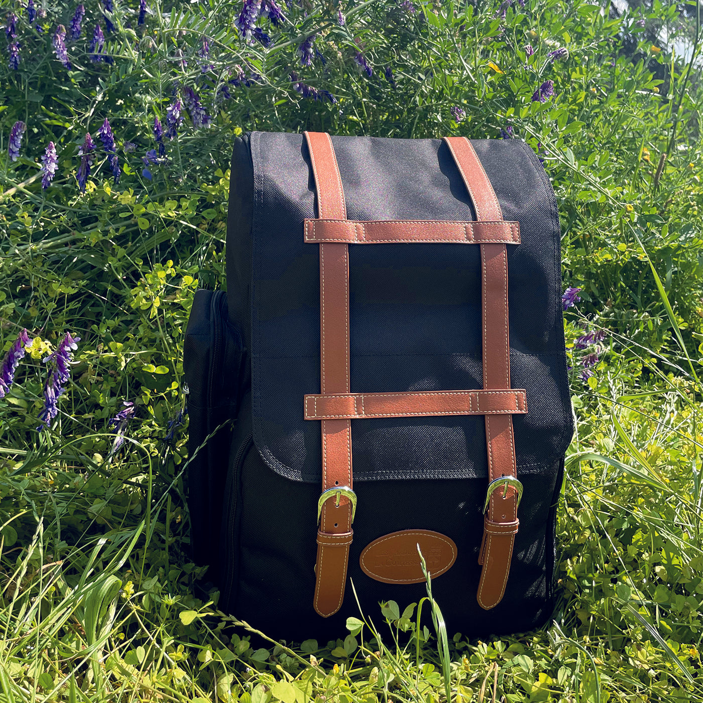 Picnic backpack online