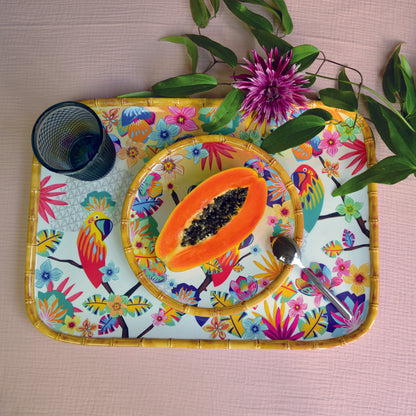 Rectangular tray in melamine with toucans - 45 x 32 cm